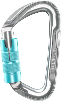 Der Pure Triple von Edelrid ist ein silberner Verschlußkarabiner mit einem blauen; drehbaren Sicherungsmechanismus.