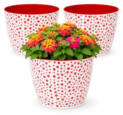 Zdjęcie produktu dla Zestaw 3 dekoracyjnych doniczek na kwiaty z wzorem w grochy, średnica 17 cm
