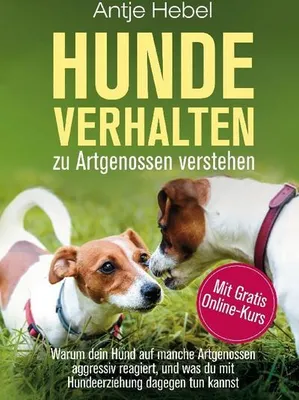 Produktbild von Hundeverhalten zu Artgenossen verstehen