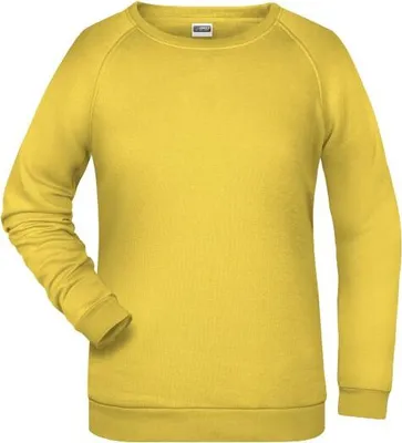 Produktbild von Rundhals-Sweatshirt mit Raglanärmeln für Damen yellow, Gr. XS