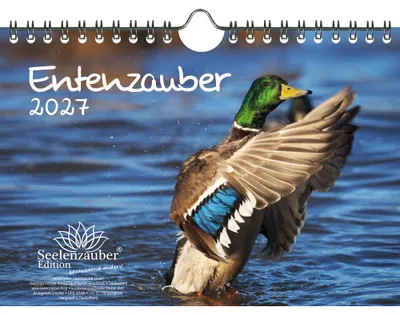 Produktbild von Entenzauber DIN A5 Kalender für 2027 Enten - Seelenzauber