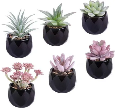 Produktbild von Mini-Blumenpflanzen mit Pottensil - Set aus 6 Stücken für den häuslichen Büro-Design - Realistische Mini-Grünanlage-Nepflechttopfpflanzen