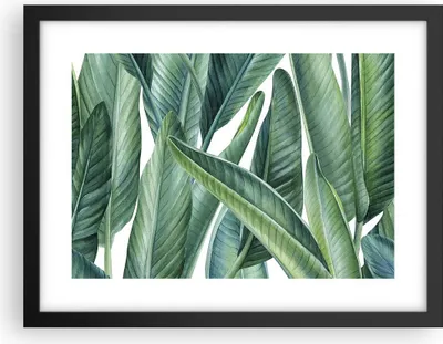 Produktbild von Gerahmtes Poster - Schwarzer Rahmen - Exotisch Blätter Grün - 40x30 cm - Wand Bild - Wanddeko - Wandbilder - Kunstposter - Wandposter - Bilderrahmen - Bilder - Kunstdruck - Wandbild - P2BAA40x30-4258