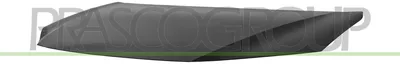 Immagine prodotto di PRASCO TY4323110 Cofano per TOYOTA Prius V (XW60)