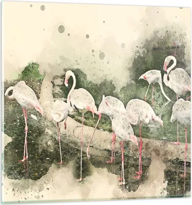 Produktbild von Bilder auf glas - Flamingo Vogel Wasser - 40x40cm - Glasbilder - Wandbilder - Kunstdruck - zum Aufhängen bereit - Wanddekoration aus Glas - Glas Bilder - Wandbild auf Glas - Einteilig - GAC40x40-3462
