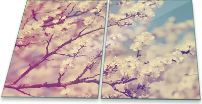 Produktbild von Herdabdeckplatten Glaskeramik Spritzschutz Glas Universal 2-Teilig 2x40x52 Natur Pink