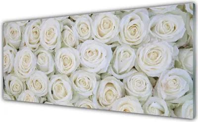 Produktbild von Glasbilder 125x50 Wandbild Druck auf Glas Rosen Pflanzen