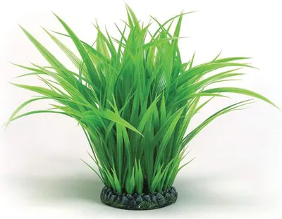 Obrázek produktu pro biOrb Grass ring L green