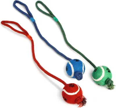 Produktbild von Beeztees Tennisball am Seil - Hundespielzeug - 60x6x6 cm