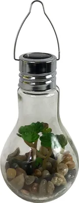 Produktbild von LED Glas Glühbirne zum Hängen mit Sukkulente Ø 9 x H 18 cm