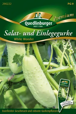 Artikelbild 1 von 'Gurke White Wonder' aus der Kategorie Salatgurkensamen