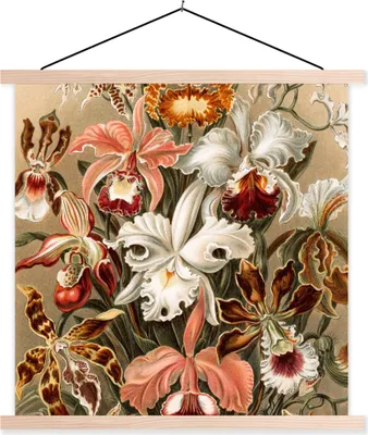 Produktbild von MuchoWow® Textilposter Orchidee - Ernst Haeckel 60x60 cm mit holzfarbenen Rahmen - Wanddekoration