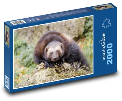 Obrázek produktu pro martinpuzzle - Puzzle 2000 - Rosomák