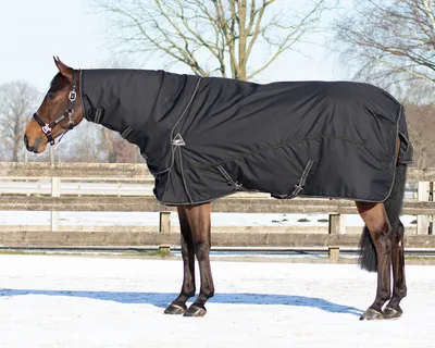 Immagine prodotto di QHP Coperta Combi Set Sottocoperta per Turnout - Collo - Nero/Tortura, 155