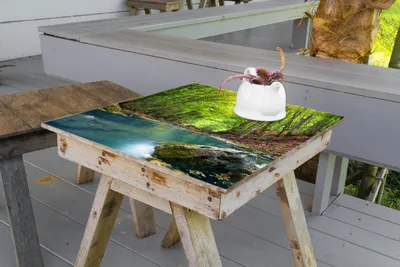 Produktbild von Wallario selbstklebende Möbelfolie/ Tischdecke für Innen und Außen, Größe: 60 x 60 cm - Klarer See im Wald