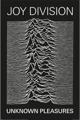 Image de Joy Division - Poster "Unknown Pleasures" PM5820 (91,5 cm x 61 cm) (Schwarz/Weiß)