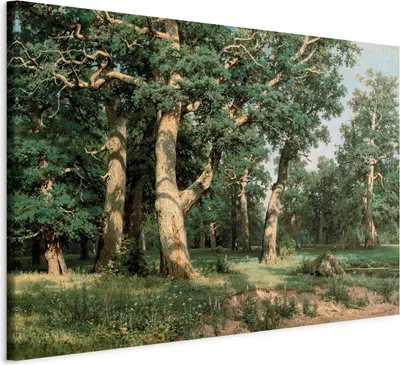 Produktbild von Vliesstoff Leinwandbild - Oak Forest 120x80 cm Reproduktionen l-F-10008-b-a