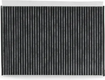 Produktbild von RIDEX 424I0321 Aktivkohle Innenraumfilter Pollenfilter passend für MERCEDES-BENZ A-Klasse (W169) VIANO (W639) A-Klasse (W168) VANEO (414)