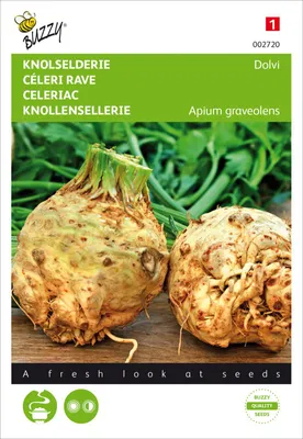 Produktbild von Knollensellerie Dolvi | Knollenselleriesamen von Buzzy Seeds