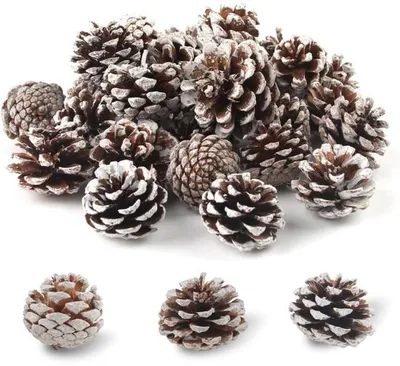 Produktbild von Unyqoos® Set aus 32 natürlichen Mini-Kiefernzapfen mit Schnee – Look als Dekoration