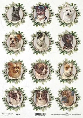 Produktbild von ITD Reispapier Decoupage Bastelpapier Serviettentechnik-R2275 Hunde