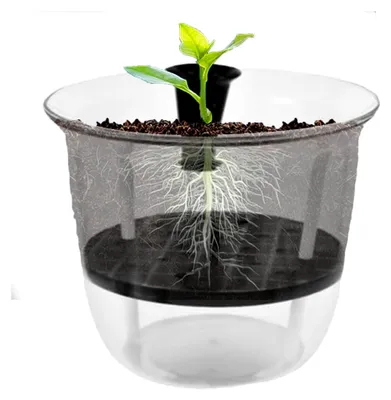 Produktbild von Selbstbewässernde Töpfe für Hydrokultur, automatische Bewässerung, sichtbare Wasserstände, Gartenzubehör für Erdbeer- und Tomatenanbau