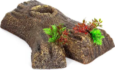 Produktbild von Repti-Zoo Schildkröten Schwimmende Rinde M - Schwimmende Insel für Schildkröten Repti-Zoo