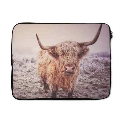 Produktbild von MuchoWow® Laptop Hülle 17 Zoll Laptoptasche Schottische Hochlandbewohner - Licht - Himmel - Natur - Zipper - Schutzabdeckung