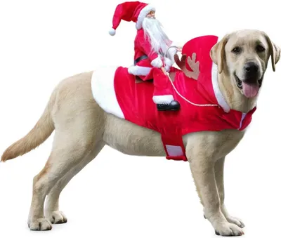Produktbild von Kerstkostuum für Hund, roter Hundekostüm, L, für Pferdesport auf dem Hund