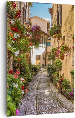 Produktbild von Bild auf Leinwand - Leinwandbild - Einteilig - Path Blumen Haus Hof - 80x120cm - Wand Bild - Wanddeko - Wandbilder - Leinwanddruck - Wanddekoration - Leinwand bilder - Wandbild - PA80x120-3183