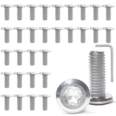 Productafbeelding van Set van 30 Flachkopfschroeven M6x16 mm van roestvrij staal