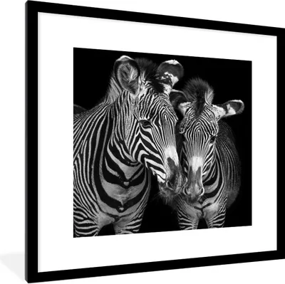 Produktbild von MuchoWow® Gerahmtes Poster Tierprofil Zebras in Schwarz und Weiß 40x40 cm - Poster mit Schwarzem Bilderrahmen Wandposter Rahmen Foto Bilder - Poster - Plakat im Rahmen