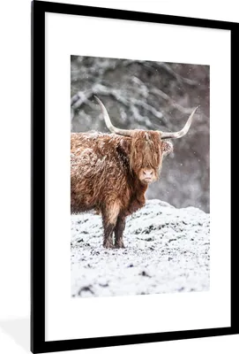 Produktbild von MuchoWow® Gerahmtes Poster Schottischer Highlander - Baum - Schnee 60x90 cm - Poster mit Schwarzem Bilderrahmen Wandposter Rahmen Foto Bilder - Dekoration - Wandposter Wohnzimmer - Hochwertig