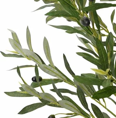 Immagine prodotto di Albero Ulivo Artificiale 700 Foglie 180 cm Verde