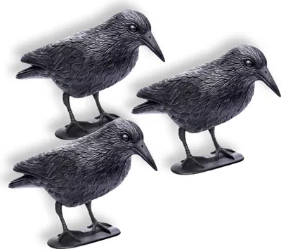 Produktbild von Schramm® 3 Stück Sitzende Krähen schwarz Taubenschreck Vogelschreck Kunststoff Rabe Taubenabwehr Vogelabwehr 3er Set Vogelscheuche