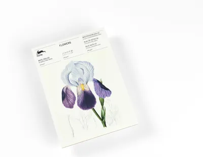 Produktbild von Flowers