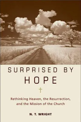 Immagine prodotto di Surprised by Hope