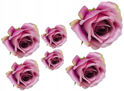 Produktbild von Domosfera Künstliche Rosenköpfe 6 Stück Hellrosa Dekoration