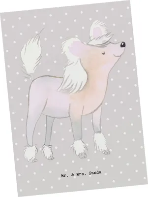 Produktbild von Mr. & Mrs. Panda Postkarte Chinesischer Schopfhund Lebensretter - Grau Pastell - Geschenk, Chinese Crested Dog, Ansichtskarte, bildkarte, Grußkarte, Fotokarte, Postkarten