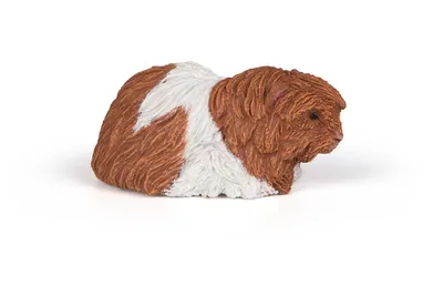 Produktbild von Papo Deutschland GmbH Meerschweinchen 5