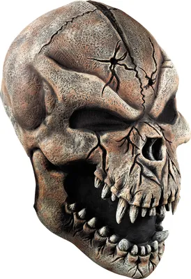 Produktbild von Werwolf Maske