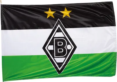 Produktbild von HISSFAHNE FAHNE "Logo"  VFL BORUSSIA MÖNCHENGLADBACH NEU