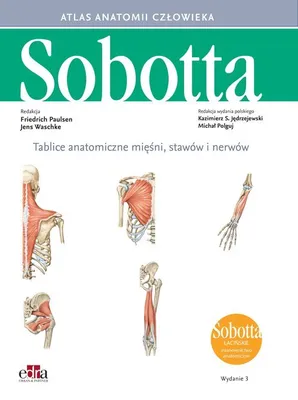 Image de Tablice anatomiczne mięśni, stawów i nerwów. Łacińskie mianownictwo