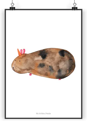 Produktbild von Mr. & Mrs. Panda Bild Einhorn Meerschweinchen DIN A4 - Weiß - Geschenk, Wandbild, Unicorn, wanddeko, Einhörner, Kunstdruck, Plakat, Meerschwein, Meerhörnchen, drucke