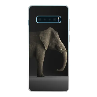Produktbild von MuchoWow® Handyhülle Schutzhülle Hülle für Samsung Galaxy S10 Plus Elefant - Tiere - Licht Silikon Softcase Handy Hülle - Schutzhülle