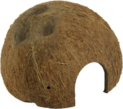 Produktbild von JBL Cocos Cava Größe M 1/2 Kokosnuss-Schale als Höhle für Aquarien und Terrarien