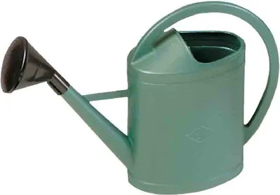 Image de Arrosoir plastique ovale pomme 11 L