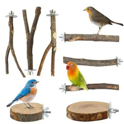 Image de Ensemble de 8 jouets pour oiseaux en bois naturel, comprenant des perchoirs, idéal pour les perruches ondulées, les perruches ondulées et les canaris