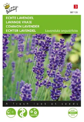 Produktbild von Buzzy Seeds Echte Lavendel Kräutersamen - 1 Saatgutbeutel