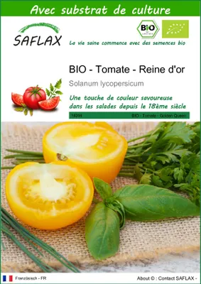 Image de SAFLAX  -- Tomate - Reine d'or - 15 graines - Avec substrat - Solanum